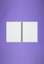 (no) bad idea(s) right? notebook
